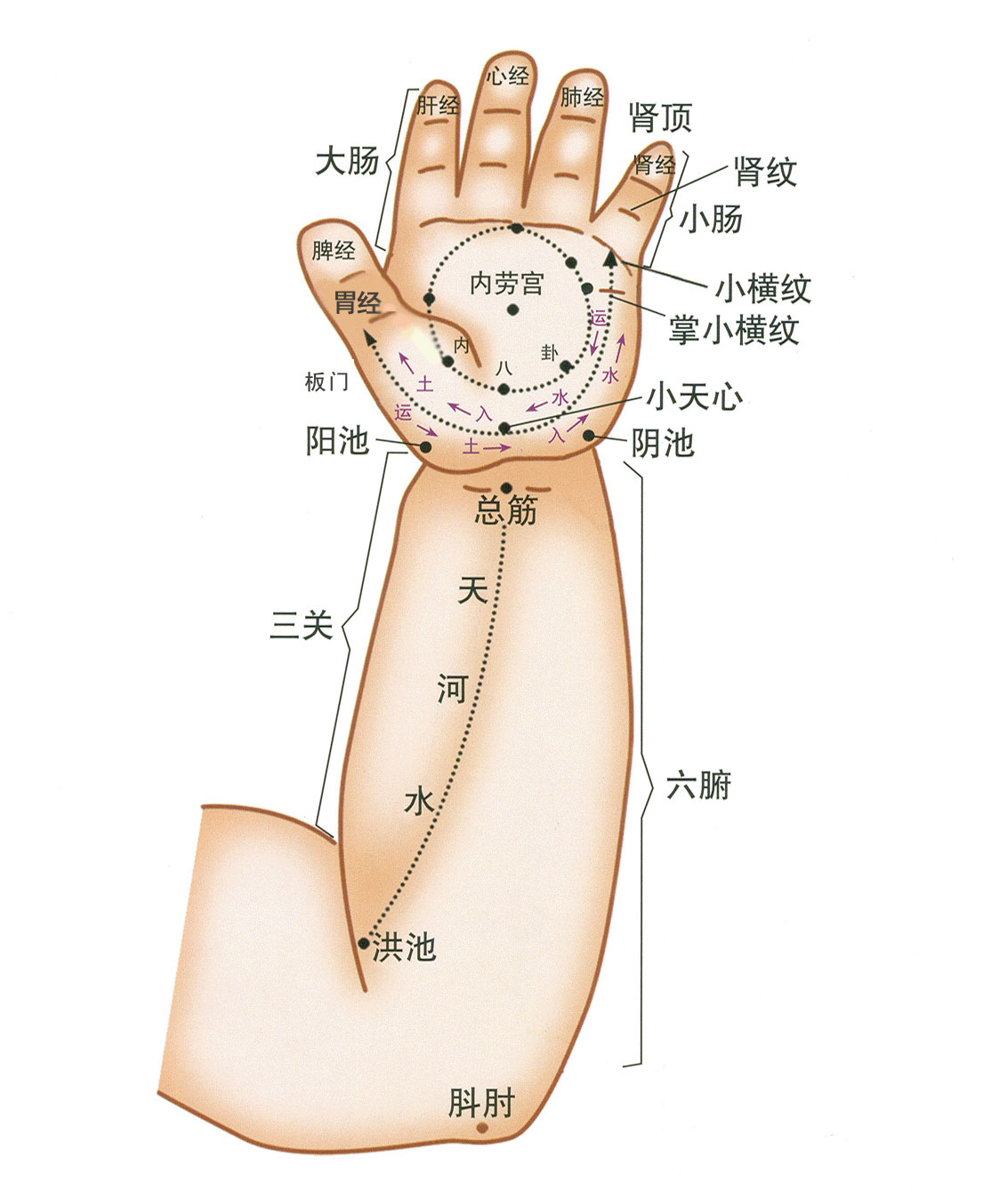 小儿推拿培训